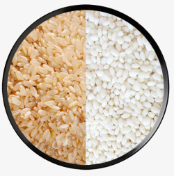 实物粮食糙米糯米素材