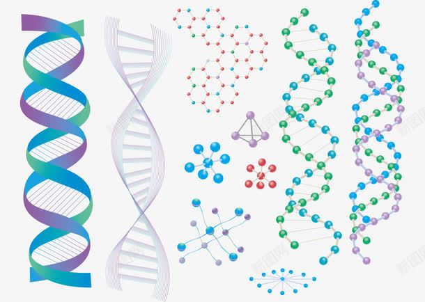 平面基因图矢量图ai免抠素材_88icon https://88icon.com AI格式 DNA 分子 基因 氨基酸 科学 设计 矢量图