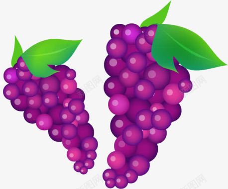 水果蔬菜卡通装饰紫葡萄图标图标
