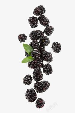水果酵素桑葚高清图片