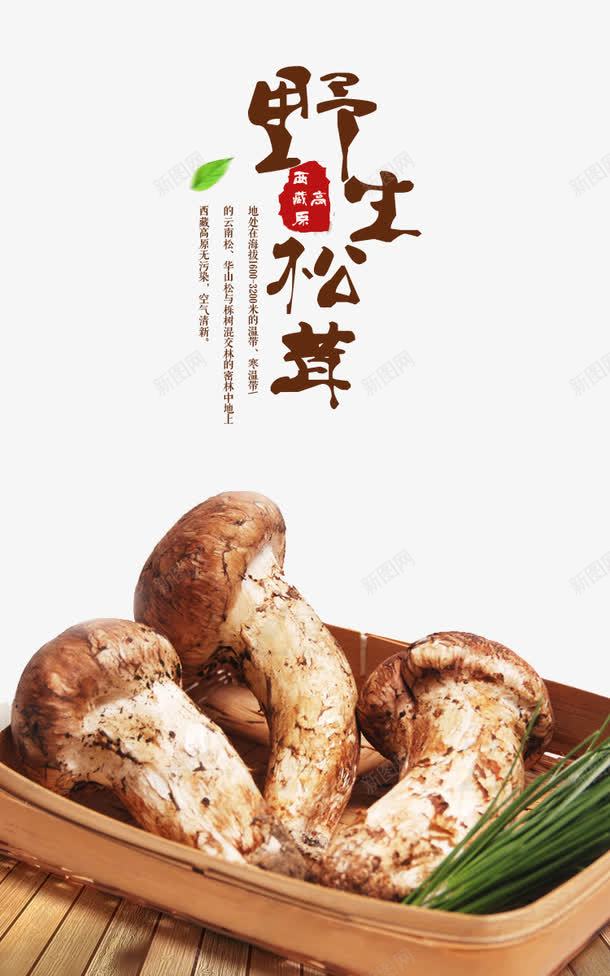 实物野生松茸png免抠素材_88icon https://88icon.com 云南 云南昆明 野生松茸 首图