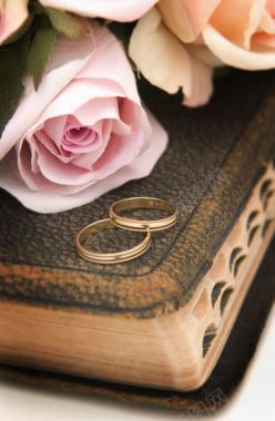 玫瑰花与结婚戒指背景
