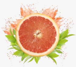 葡萄柚西柚水果装饰高清图片