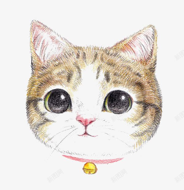 卡通猫咪png免抠素材_88icon https://88icon.com 卡通 大眼睛 彩铅 手绘 棕色 水彩 猫咪 装饰