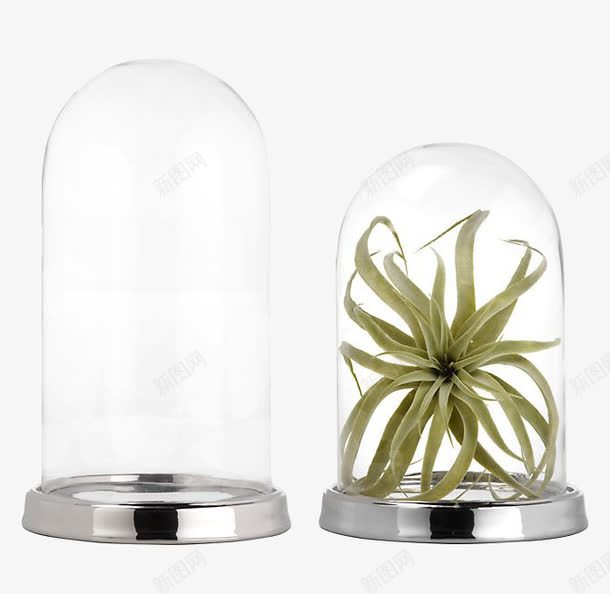 西洋玻璃罩住的植物微景观png免抠素材_88icon https://88icon.com 半透明 微景观 玻璃罩
