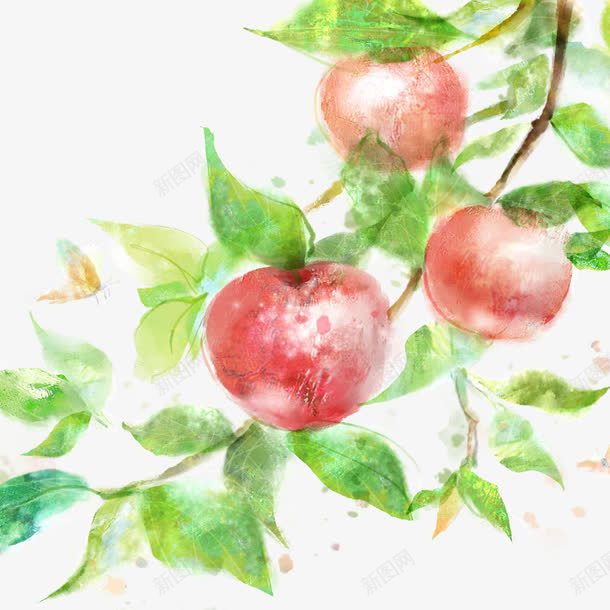 水彩苹果树png免抠素材_88icon https://88icon.com 水彩 水彩苹果树 红红 苹果树
