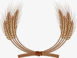 金色麦谷物手绘麦穗矢量图图标高清图片
