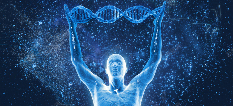 人体结构DNA背景背景