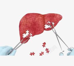 养生治疗肝脏拼图高清图片