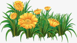 美丽草丛春天美丽黄色花朵高清图片