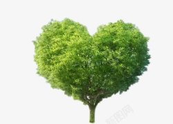 植树节插图心形绿色大树植树节元素高清图片