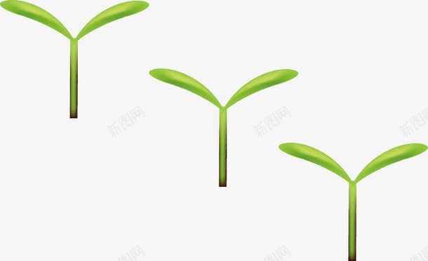 小豆苗png免抠素材_88icon https://88icon.com 发芽 小草 小草生长过程图 春天 绿色小草 绿色豆苗 豆苗