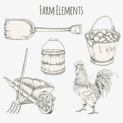手工绘制的农场和公鸡素材