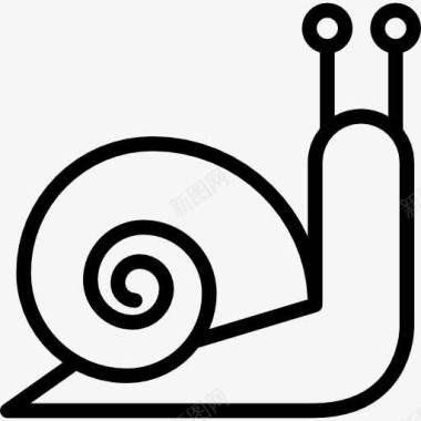 山竹壳蜗牛图标图标