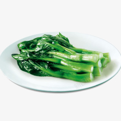 一盘子绿色营养的白灼广东菜心插素材