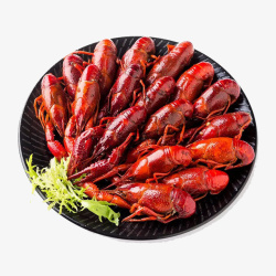 红烧十三香小龙虾素材