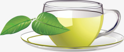 绿茶叶子普洱茶叶素材