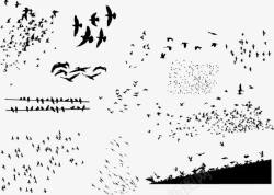 矢量鸽子剪影迁徙鸟类剪影高清图片
