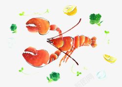 龙虾水彩画素材