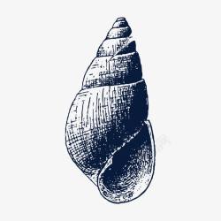 贝壳素描手绘海螺贝壳装饰图标高清图片