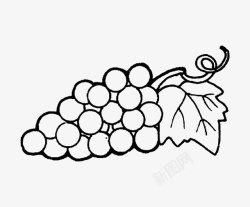饱满的葡萄串圆形可爱葡萄简笔画图标高清图片