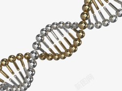 金色dna遗传物质基因肽链脱氧素材