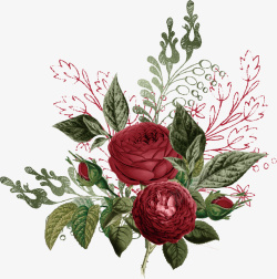 手绘唯美玫瑰花植物矢量图素材