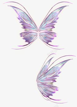蝴蝶翅膀的翅膀高清图片