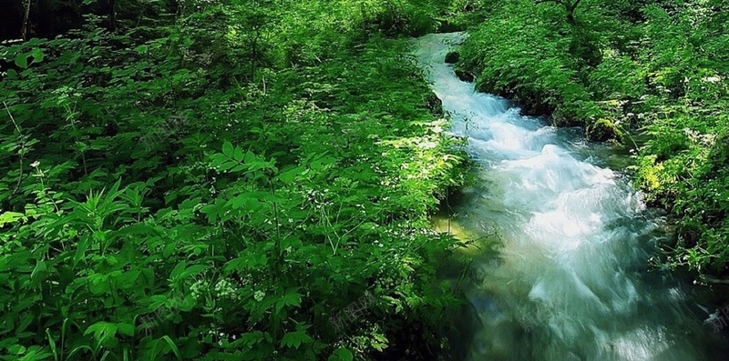 森林山水风景H5背景jpg设计背景_88icon https://88icon.com H5 H5背景 h5 山水 彩色 景点 森林 风景