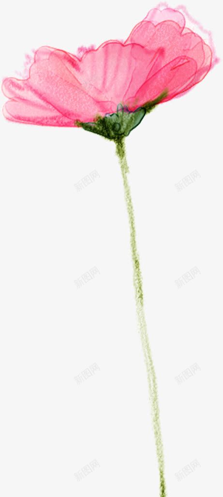 粉色花卉水彩画背景png免抠素材_88icon https://88icon.com 水彩画 粉色 背景 花卉