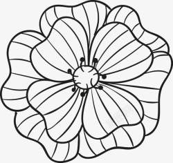 一朵手绘的黑色线条花朵图素材