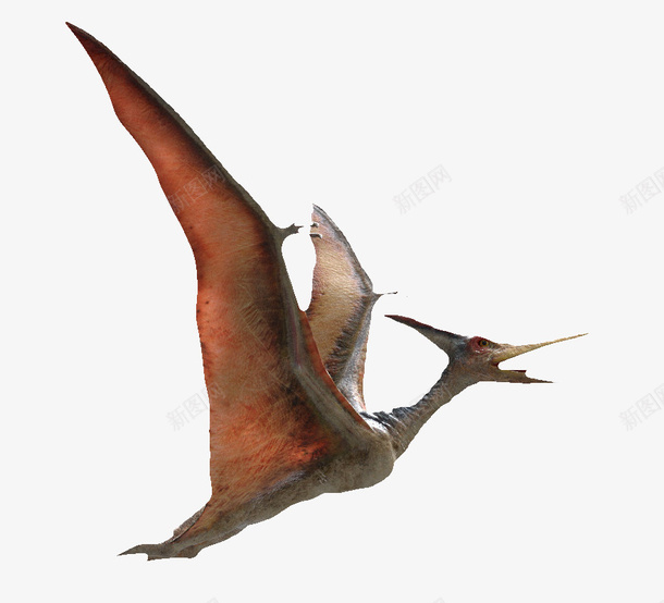 飞翔翼龙png免抠素材_88icon https://88icon.com 3D恐龙 动物 恐龙 游戏翼龙 翅膀 肉食动物 飞翔翼龙