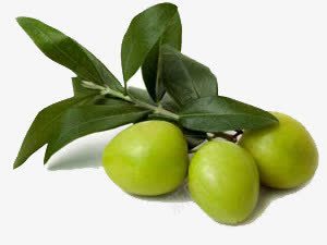 绿橄榄装饰png免抠素材_88icon https://88icon.com 水果 绿橄榄 食材 食物