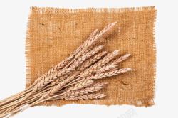 高粱小麦麻袋布上面的麦穗高清图片