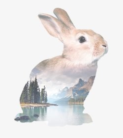 兔子双重曝光素材