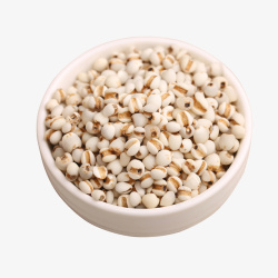 杂粮薏米一碗没有煮开的苡仁高清图片