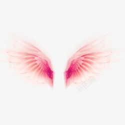梦幻装饰天使的翅膀高清图片