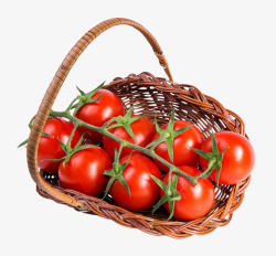 实物篮子里带藤樱桃番茄素材
