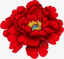 2017大红色牡丹花一朵素材