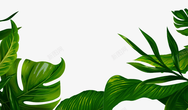 简约大气纹理背景psd免抠素材_88icon https://88icon.com 叶子 树木 电商banner 简约大气 纹理背景 绿色 草地 装饰