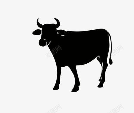 涮肉黑白牛icon图标图标