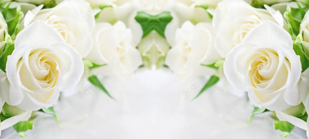 简约唯美白色花朵浅色背景海报背景jpg设计背景_88icon https://88icon.com 唯美 大图 大气 浅色 浪漫 特写 白色 简约 花卉 花朵 花束 近景 静物 鲜花