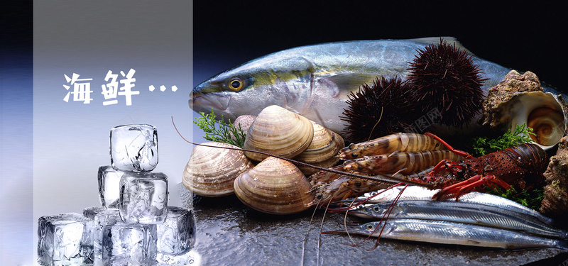 海鲜食品背景jpg设计背景_88icon https://88icon.com 冰块 海报banner 海鲜 美食 背景 虾 贝类 食品 鱼
