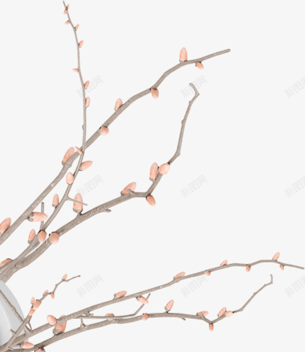粉色美丽春季花树png免抠素材_88icon https://88icon.com 春天 春季 春日 枝条 树木 树枝 植物 自然 花树