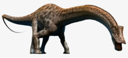 远古时期的动物低着头的梁龙实物高清图片