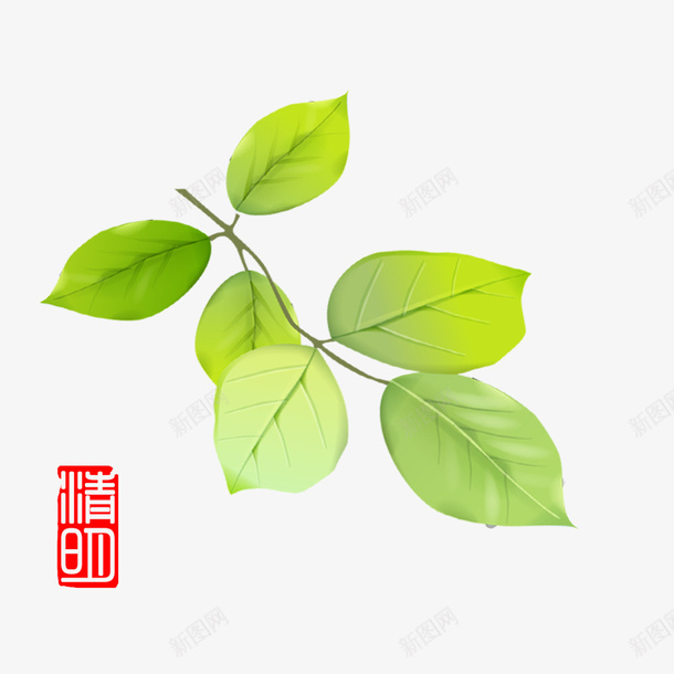 清明节手绘绿叶透明背景psd免抠素材_88icon https://88icon.com 150DPI 水墨山水画 水墨风绿叶 清明节 清明节日 清明节水墨风 清明节水墨风手绘绿叶 清明节海报 绿叶