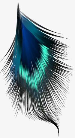 美丽的孔雀羽毛图案素材