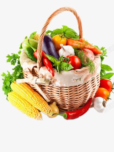 蔬菜合集png免抠素材_88icon https://88icon.com 新鲜果蔬 绿色健康 美食 菜类图片 蔬菜