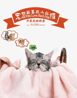 宠物店宣传单猫咪可爱素材