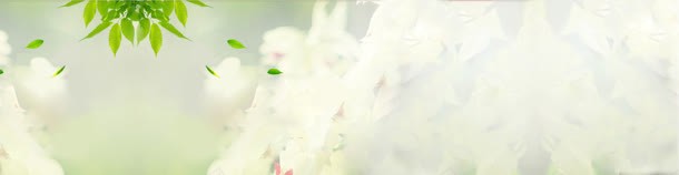 淘宝天猫首页jpg设计背景_88icon https://88icon.com banner 广告图 淘宝女装banner 淡雅 绿色 背景